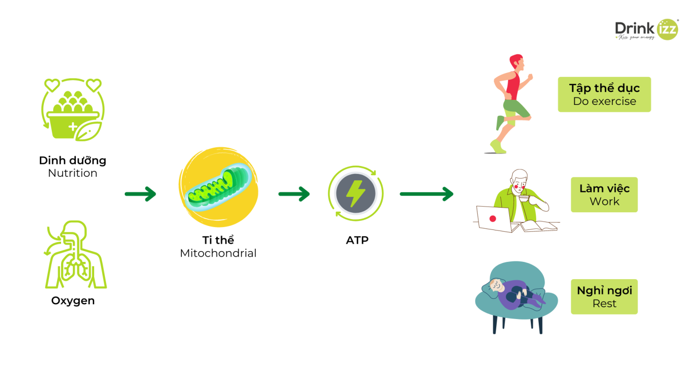 Vai trò của hơi thở đối với năng lượng và sức khỏe!