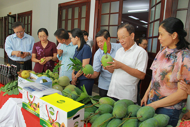 Sơn La - vùng trồng cây ăn quả lớn nhất miền bắc