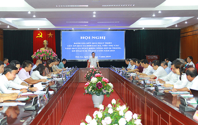 Sơn La - vùng trồng cây ăn quả lớn nhất miền bắc