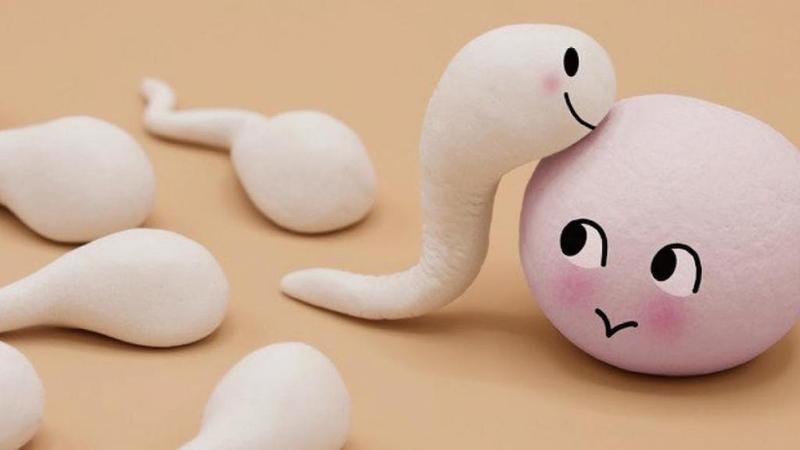 Quan hệ cọ xát bên ngoài có thai không và lý giải nguyên nhân 4