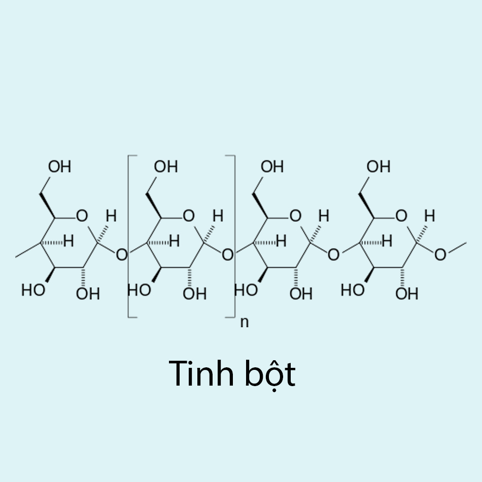 Cấu trúc phân tử tinh bột - bài 6 saccarozơ tinh bột và xenlulozơ