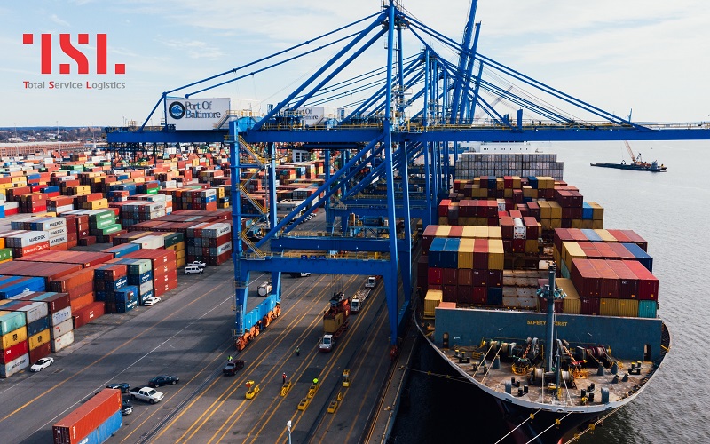 Xuất nhập khẩu là gì, Đặc điểm và vai trò của xuất nhập khẩu