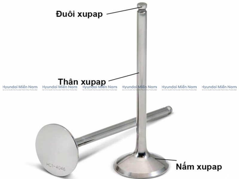 Cơ Cấu Phân Phối Khí Xupap (2)