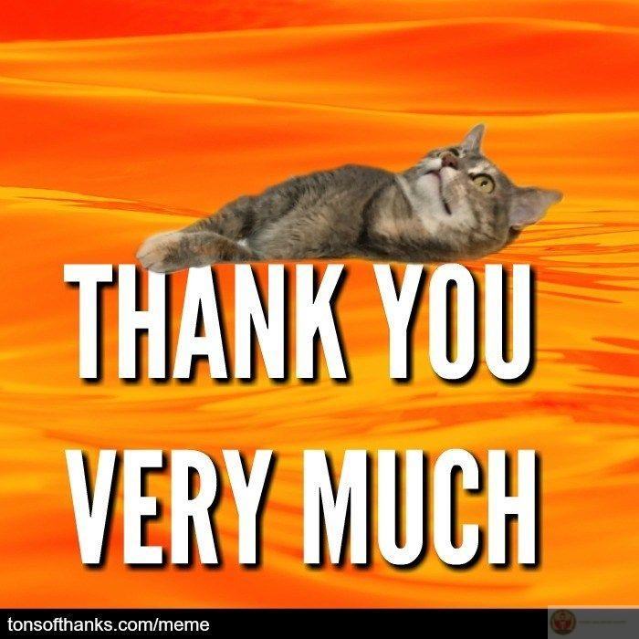 Cảm ơn vì hôm nay vẫn chưa bị tống khỏi group