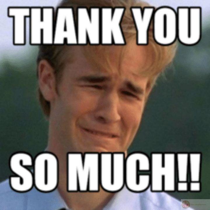 Một lời cảm ơn chưa đủ, nhưng cũng là bắt đầu