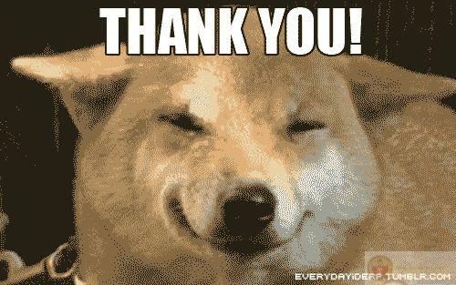 Dù chỉ là một câu, cảm ơn vẫn luôn cần thiết