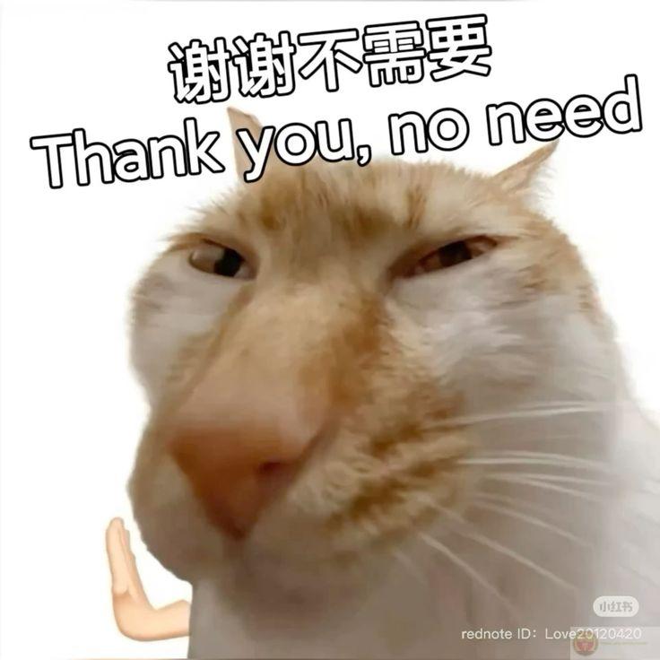 Không ai buộc phải tử tế, nên cảm ơn nhiều hơn