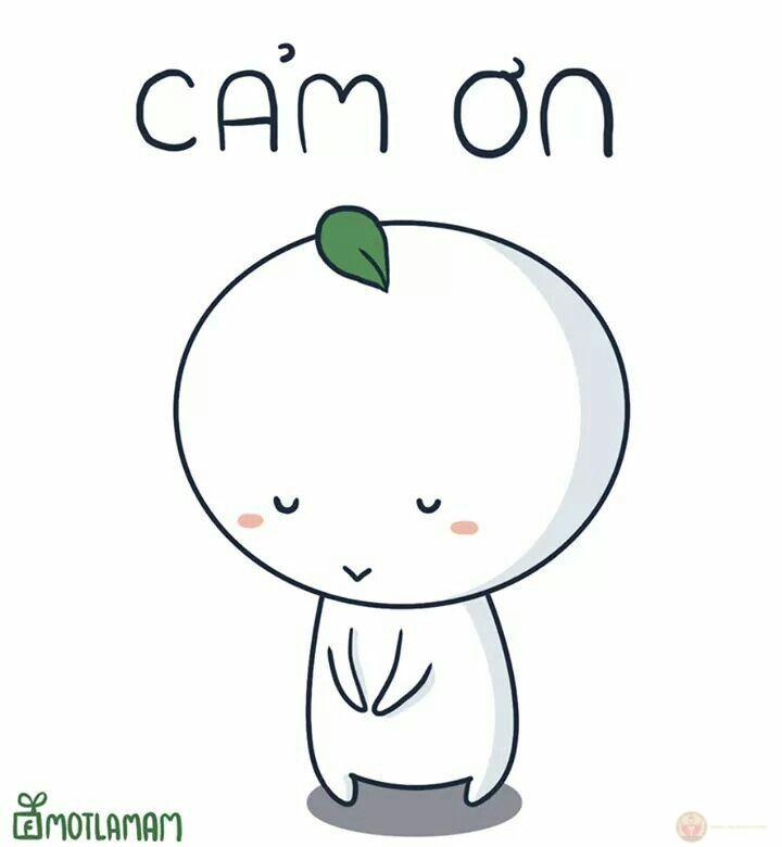 Những lời cảm ơn muộn màng đôi khi lại quý nhất