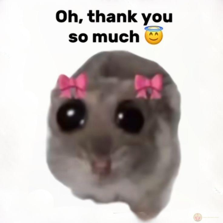 Thấy ai cũng đáng được cảm ơn một lần