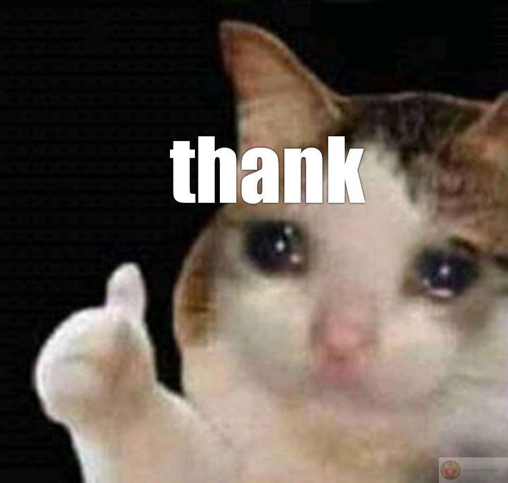 Cảm ơn cuộc đời vì vẫn còn người hiểu mình