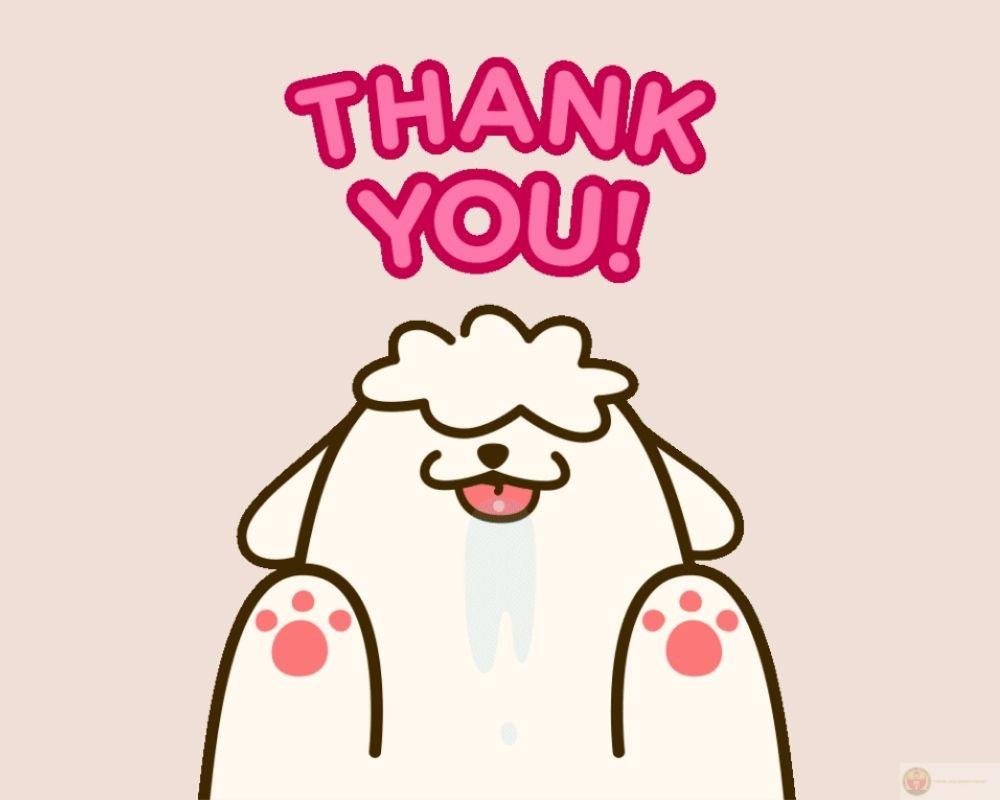 Cảm ơn đã không khiến mọi thứ tệ hơn