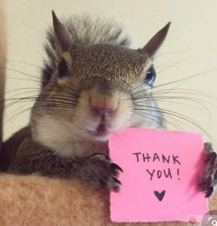 Cảm ơn mọi điều đang xảy ra dù chẳng hiểu gì