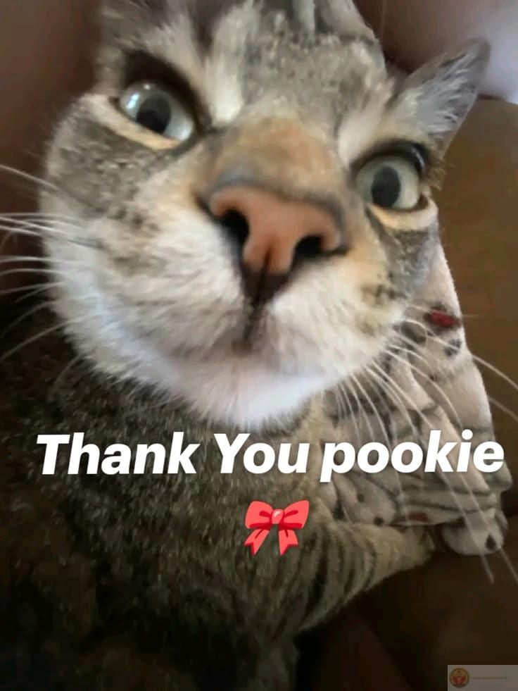 Mọi chuyện chưa rõ ràng, nhưng cảm ơn thì chắc