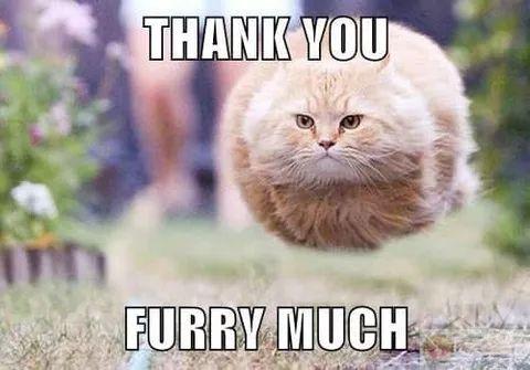 Cảm ơn nha, ai cần thì lấy, ai không thì thôi