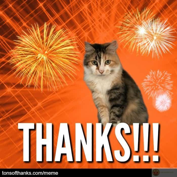 Một câu cảm ơn đôi khi là điều duy nhất giữ được