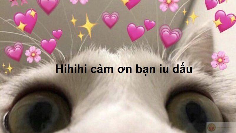 Cảm ơn những người xa lạ đã khiến tôi ấm lòng