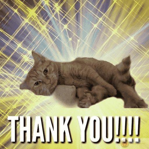 Cảm ơn vì đã khiến tôi không còn ghét ngày thứ hai