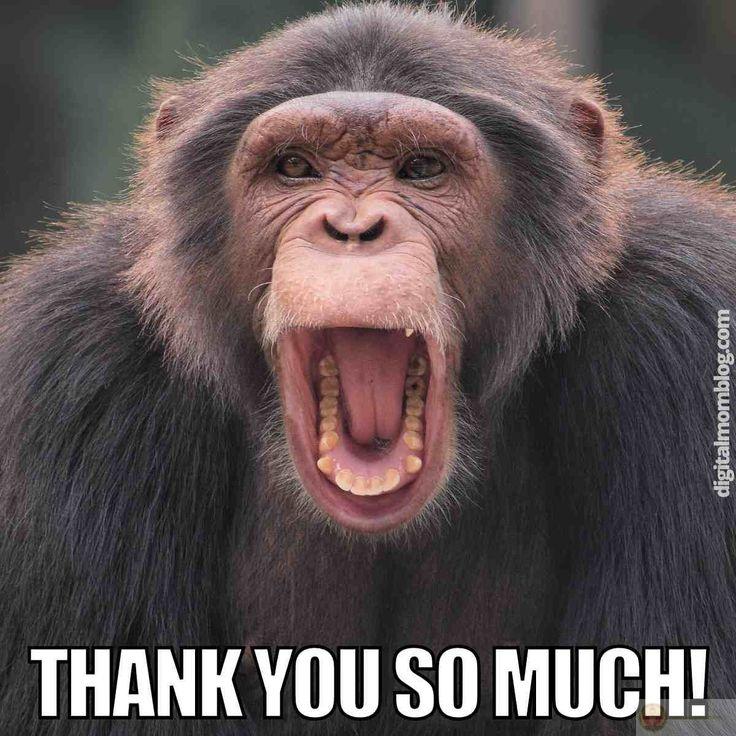 Cảm ơn vì đã không bắt tôi ra khỏi chăn