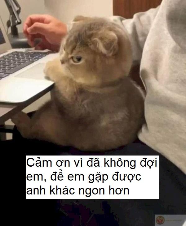 Cảm ơn vì đã không để tôi gục ngã một mình