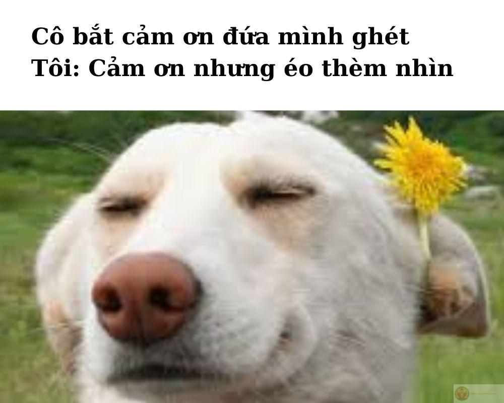 Cảm ơn vì đã làm tôi thấy mình không cô đơn