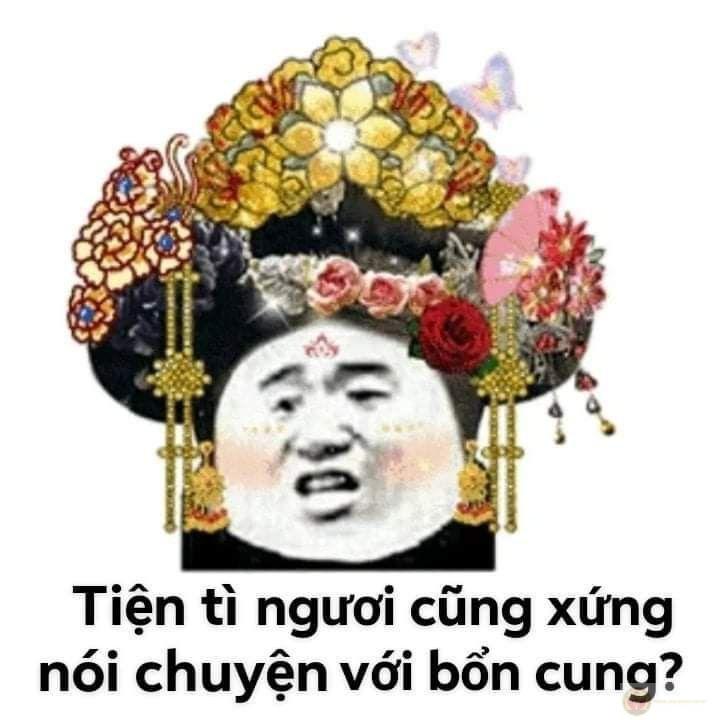 Meme chửi bạn thường gắn với những dòng chữ dí dỏm tạo tiếng cười ngẫu hứng