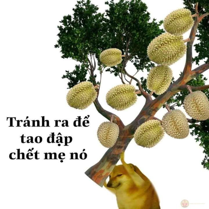 Meme chửi bạn tạo bầu không khí sôi động mỗi khi được chia sẻ trong group bạn bè