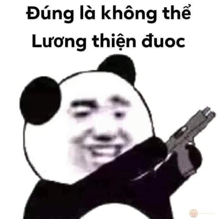 Meme chửi sếp tạo cảm giác táo bạo vui nhộn thường thấy trong các bài chế hài