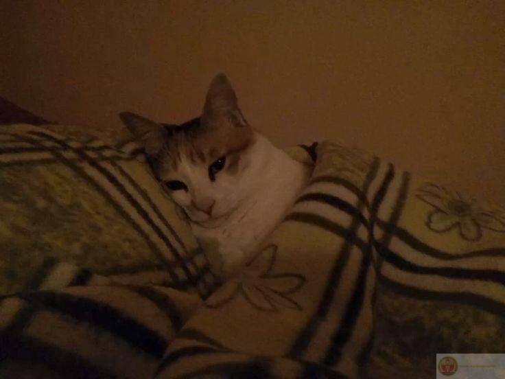 Ngủ một giấc xong quên luôn việc đang làm