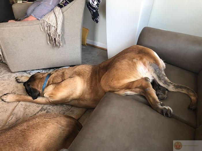 Thức dậy vào sáng thứ hai là điều tồi tệ nhất