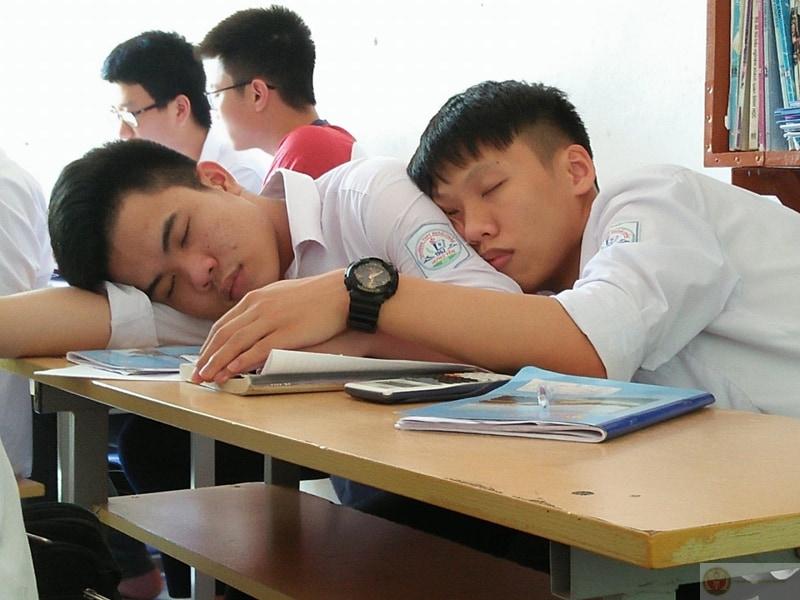 Tôi không lười, chỉ đang bảo tồn năng lượng