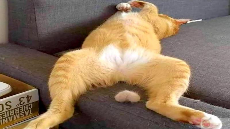 Mắt díp lại nhưng lòng còn muốn chơi tiếp