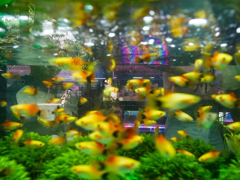 Trải nghiệm nhiếp ảnh đường phố cùng Panasonic Lumix GX9