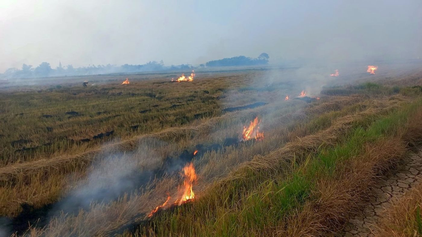 Đốt rơm, rạ sau thu hoạch lúa - Bài 1: Những ảnh hưởng đến môi trường