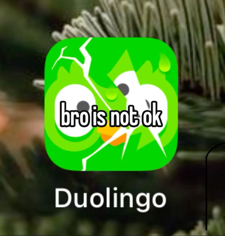 Duolingo meme giúp lan tỏa thông điệp học tập tích cực bằng phong cách hài hước