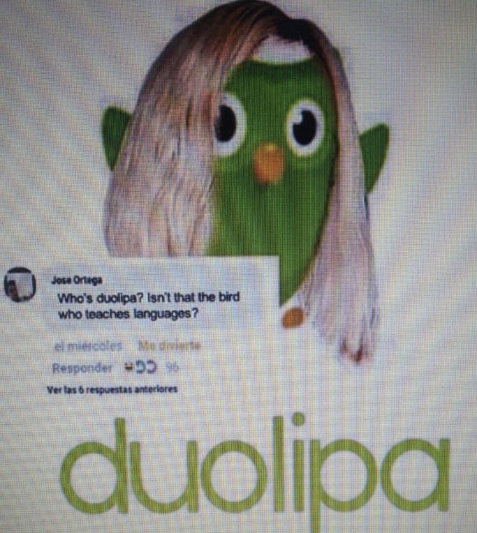 Duolingo meme giúp lan tỏa tinh thần lạc quan trong cộng đồng yêu ngoại ngữ