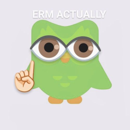 Duolingo meme góp phần biến những giờ học buồn tẻ thành trải nghiệm thú vị