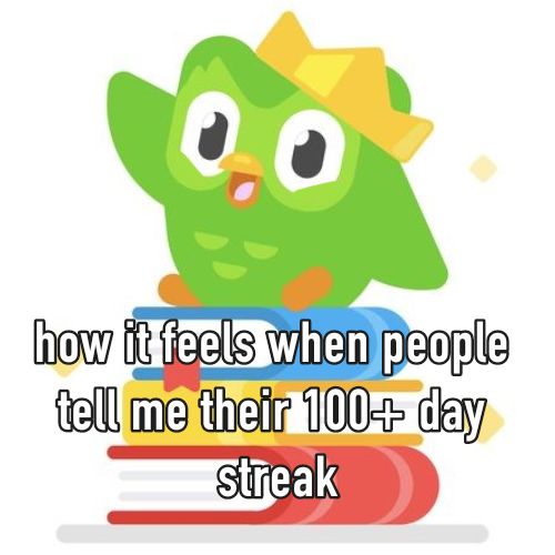 Duolingo meme khẳng định giá trị giải trí đơn giản nhưng đầy hấp dẫn hằng ngày