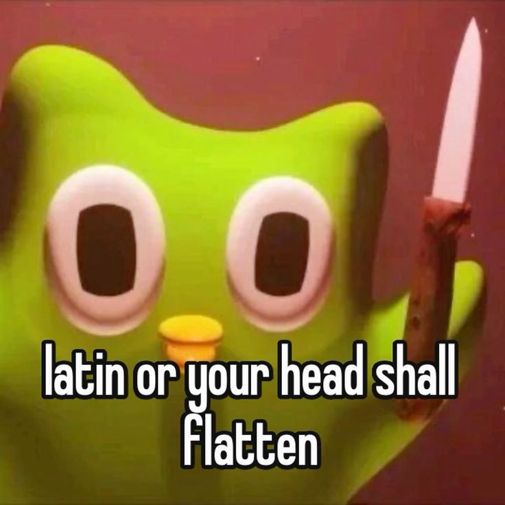 Duolingo meme khẳng định sức hấp dẫn mạnh mẽ trong văn hóa chế ảnh toàn cầu