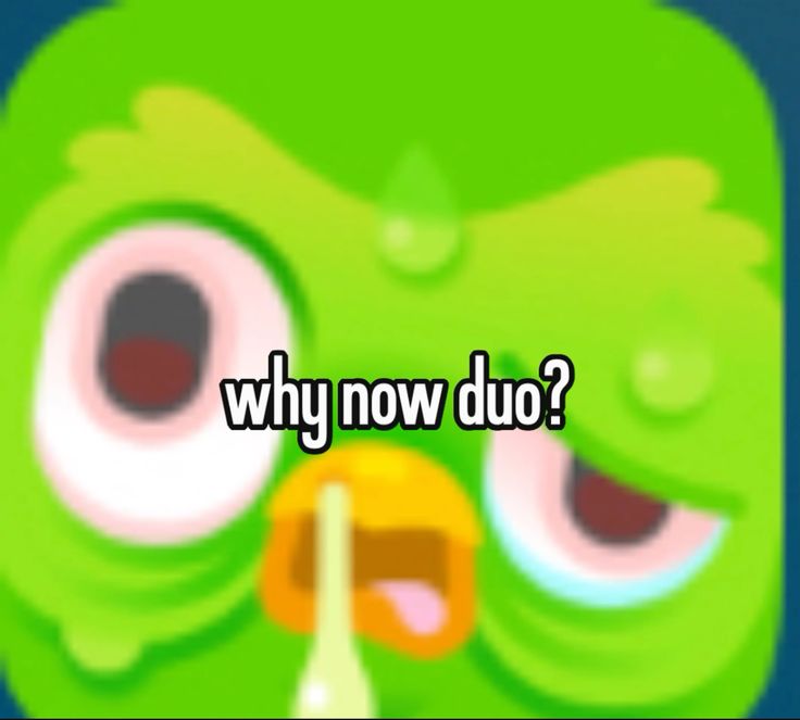 Duolingo meme khẳng định vị thế đặc biệt trong làng chế ảnh vui nhộn hiện nay