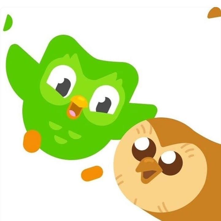 Duolingo meme khiến cho những giờ học nhàm chán trở nên sinh động và vui nhộn
