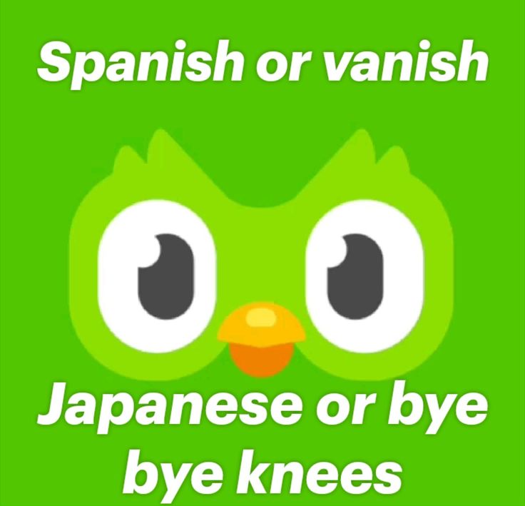 Duolingo meme khiến việc học trở nên gần gũi và thân thiện với người trẻ hơn