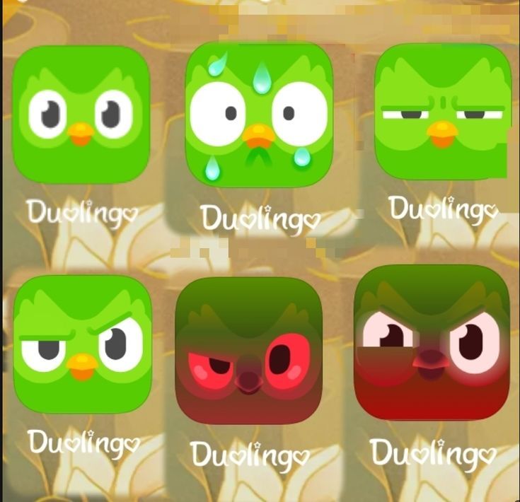 Duolingo meme là minh chứng rõ ràng cho sức mạnh lan tỏa của ảnh chế online