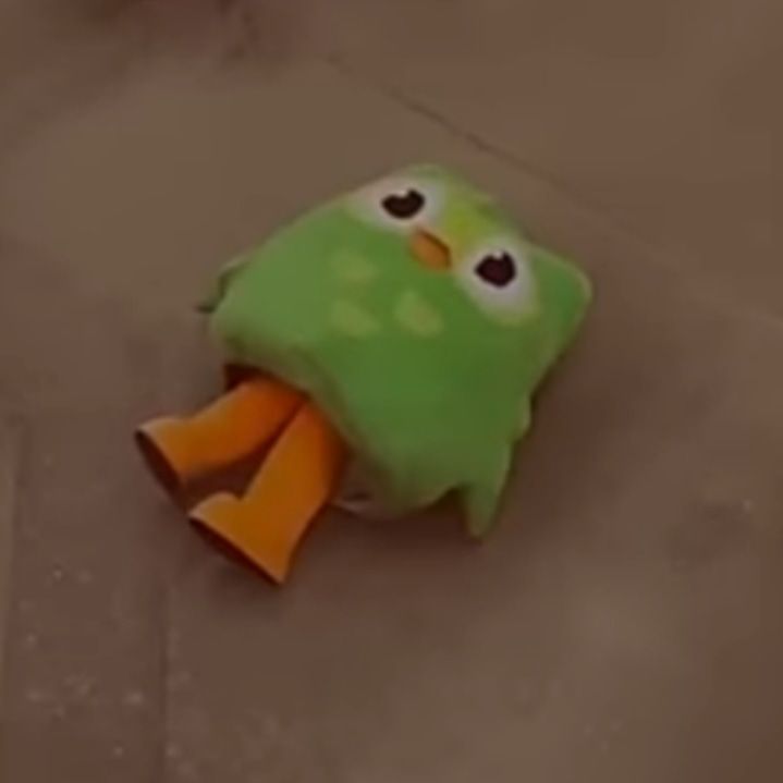 Duolingo meme mang lại cảm giác gắn kết thân thiện trong các group học tập