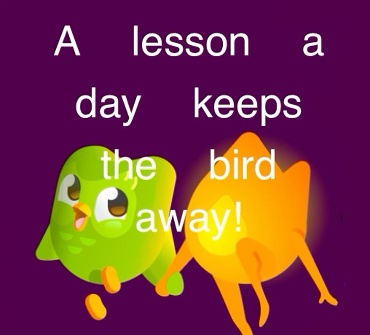 Duolingo meme mang lại tiếng cười giản dị giúp người học thêm phần hứng thú