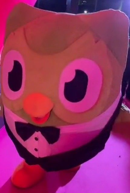 Duolingo meme ngày càng được yêu thích nhờ sự đáng yêu của chú chim xanh