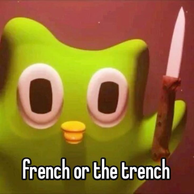 Duolingo meme nhanh chóng trở thành xu hướng nổi bật trong cộng đồng mạng Việt Nam
