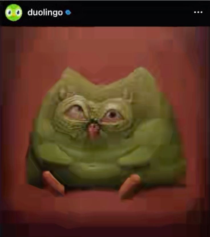 Duolingo meme thường xuyên xuất hiện trong các bài đăng giải trí của giới trẻ