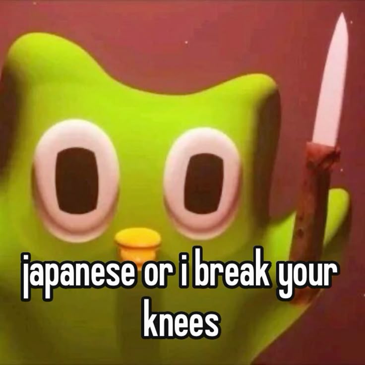 Duolingo meme trở thành trào lưu lan rộng với vô số phiên bản chế sáng tạo