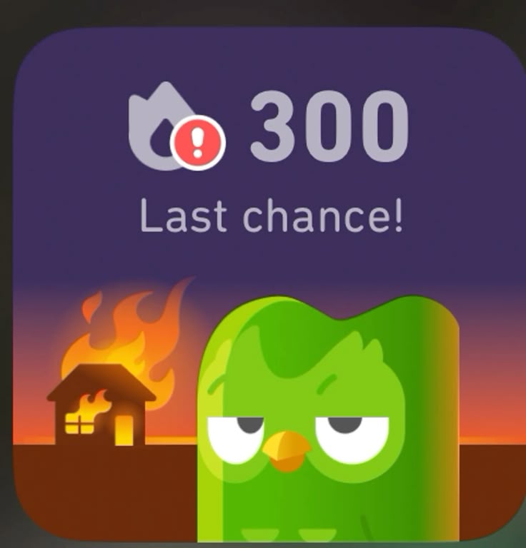 Hình ảnh Duolingo meme thường gắn liền với sự hóm hỉnh đầy dí dỏm trẻ trung