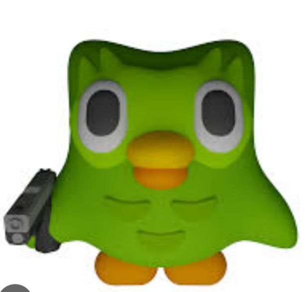 Meme Duolingo